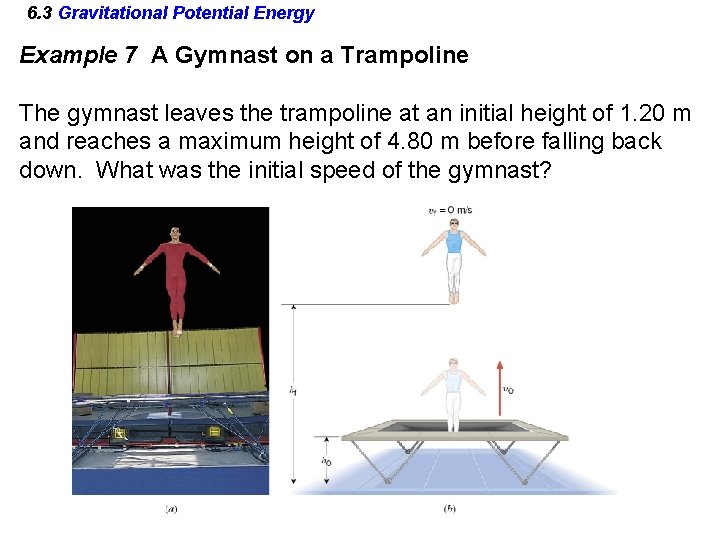 6. 3 Gravitational Potential Energy Example 7 A Gymnast on a Trampoline The gymnast