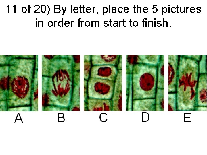 11 of 20) By letter, place the 5 pictures in order from start to