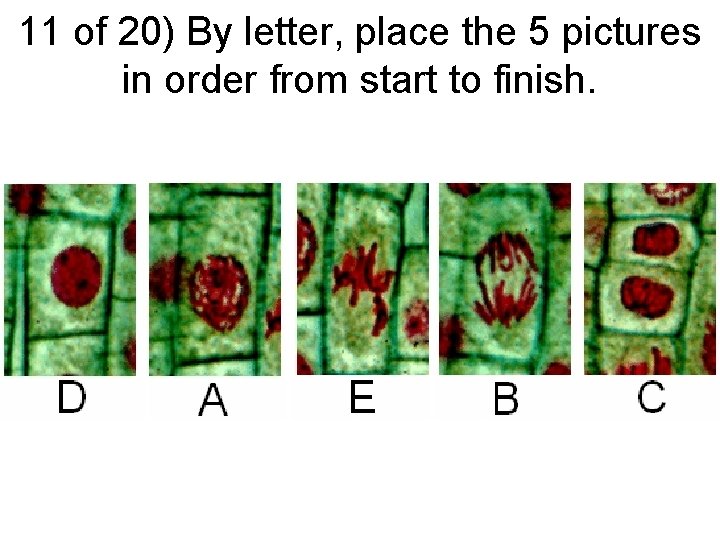 11 of 20) By letter, place the 5 pictures in order from start to