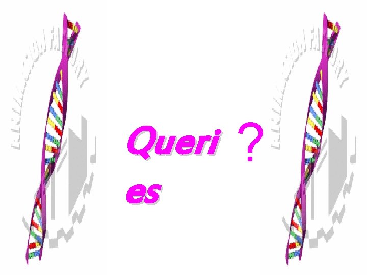 Queri es ? 