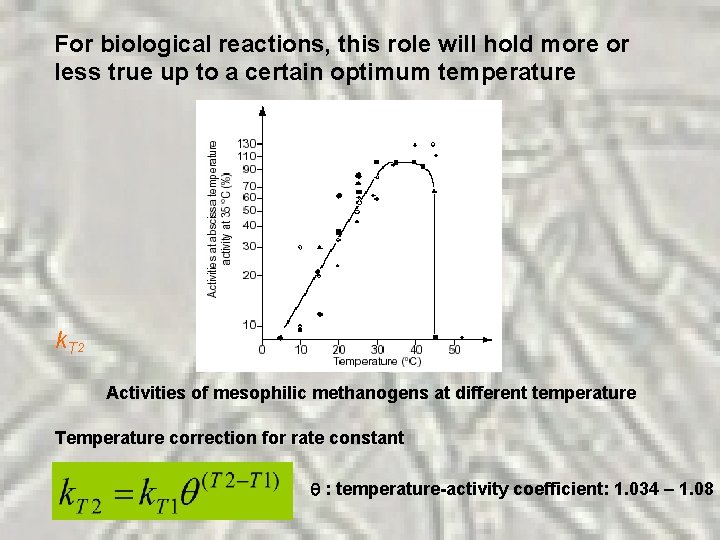 For biological reactions, this role will hold more or less true up to a