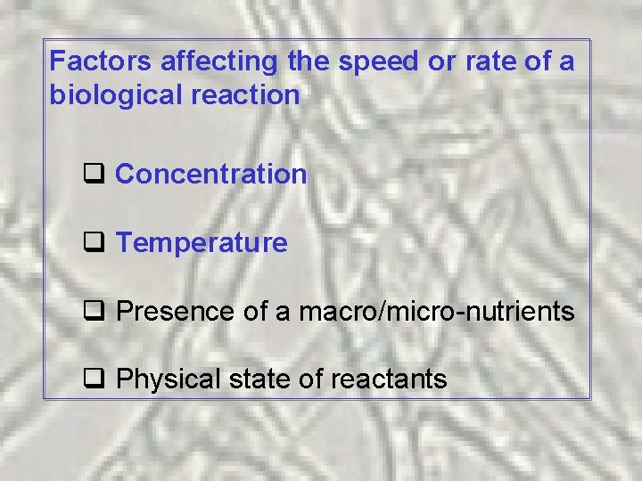 Factors affecting the speed or rate of a biological reaction q Concentration q Temperature