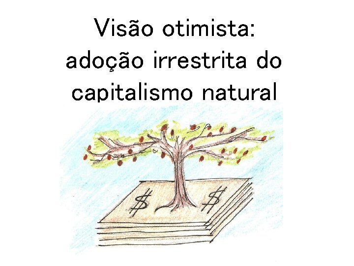 Visão otimista: adoção irrestrita do capitalismo natural 