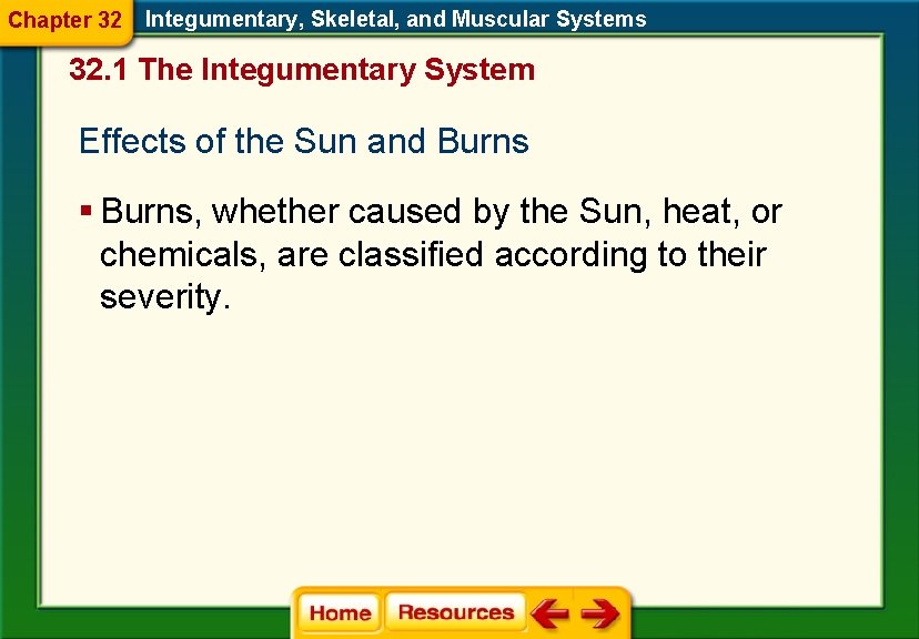 Chapter 32 Integumentary, Skeletal, and Muscular Systems 32. 1 The Integumentary System Effects of