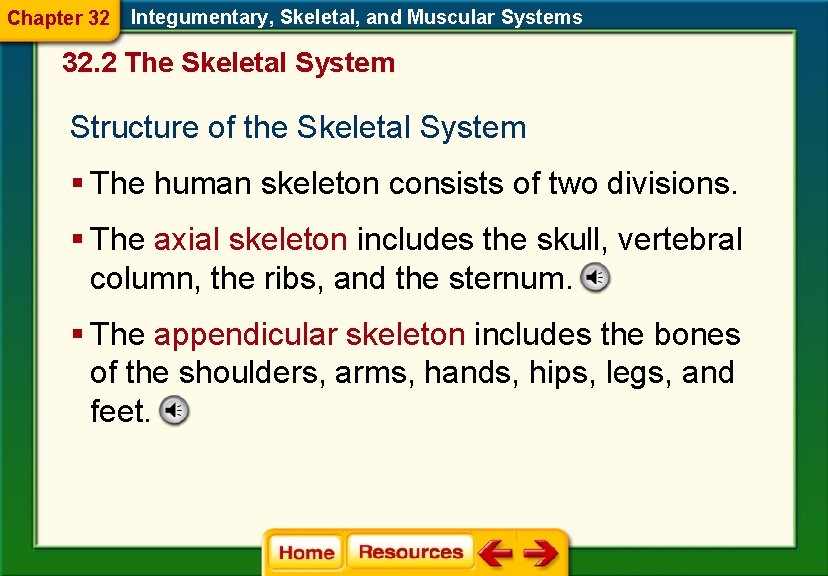 Chapter 32 Integumentary, Skeletal, and Muscular Systems 32. 2 The Skeletal System Structure of