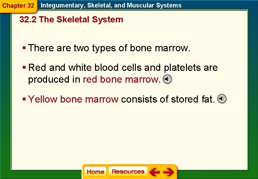 Chapter 32 Integumentary, Skeletal, and Muscular Systems 32. 2 The Skeletal System § There