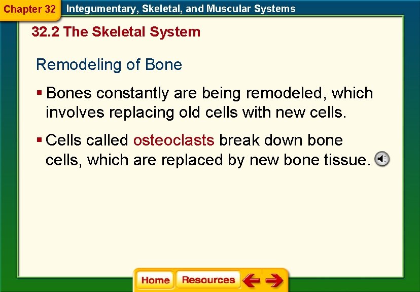 Chapter 32 Integumentary, Skeletal, and Muscular Systems 32. 2 The Skeletal System Remodeling of