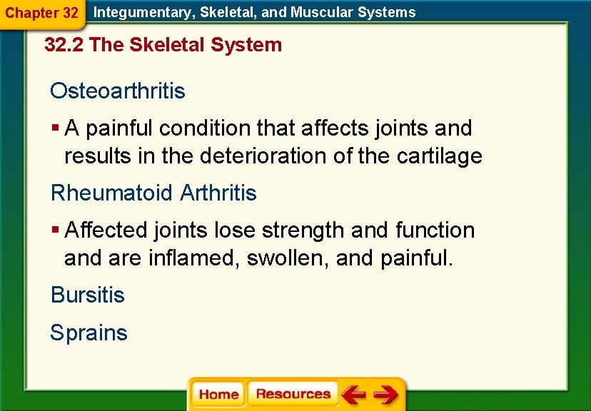 Chapter 32 Integumentary, Skeletal, and Muscular Systems 32. 2 The Skeletal System Osteoarthritis §