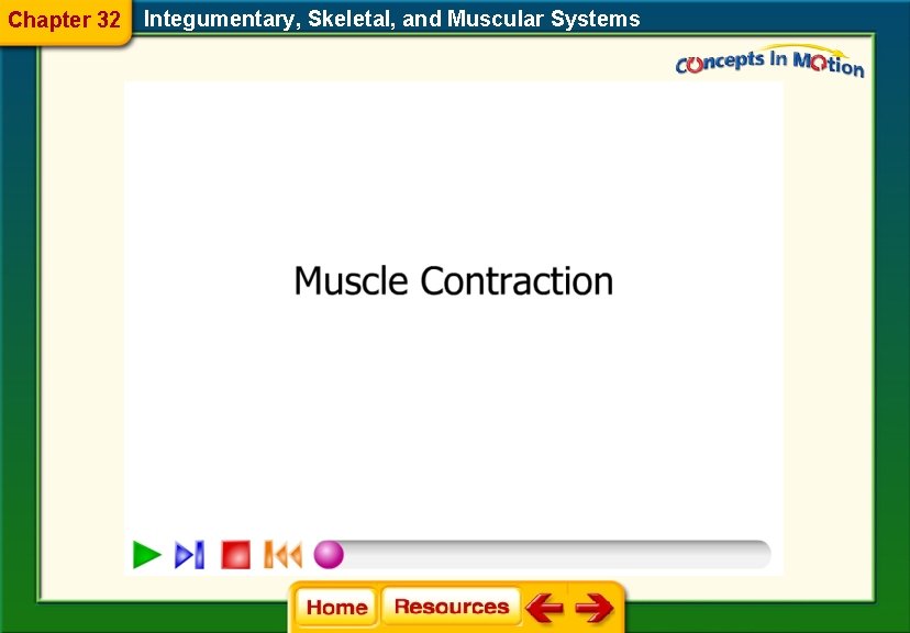 Chapter 32 Integumentary, Skeletal, and Muscular Systems 