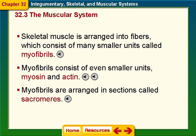 Chapter 32 Integumentary, Skeletal, and Muscular Systems 32. 3 The Muscular System § Skeletal