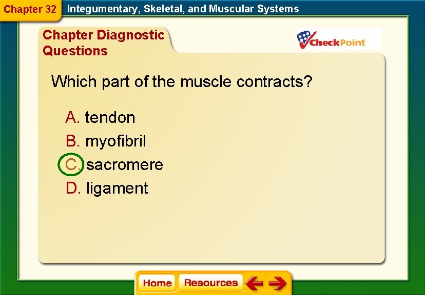 Chapter 32 Integumentary, Skeletal, and Muscular Systems Chapter Diagnostic Questions Which part of the