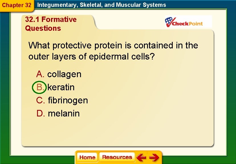 Chapter 32 Integumentary, Skeletal, and Muscular Systems 32. 1 Formative Questions What protective protein