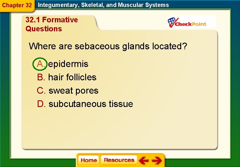 Chapter 32 Integumentary, Skeletal, and Muscular Systems 32. 1 Formative Questions Where are sebaceous
