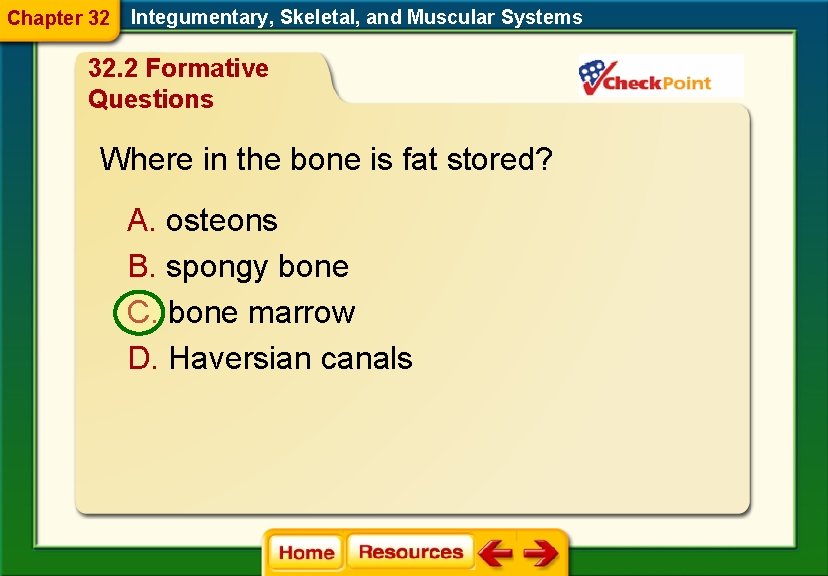 Chapter 32 Integumentary, Skeletal, and Muscular Systems 32. 2 Formative Questions Where in the