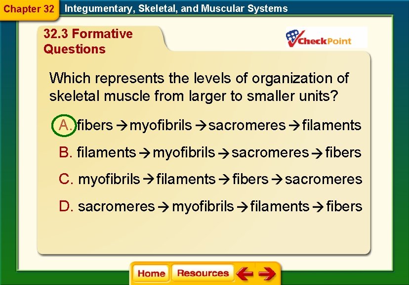 Chapter 32 Integumentary, Skeletal, and Muscular Systems 32. 3 Formative Questions Which represents the