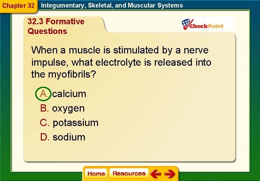 Chapter 32 Integumentary, Skeletal, and Muscular Systems 32. 3 Formative Questions When a muscle