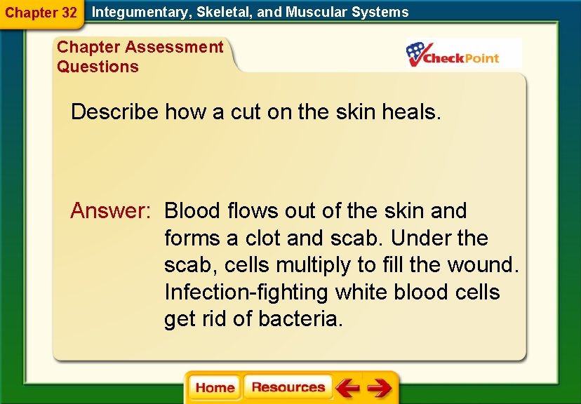 Chapter 32 Integumentary, Skeletal, and Muscular Systems Chapter Assessment Questions Describe how a cut