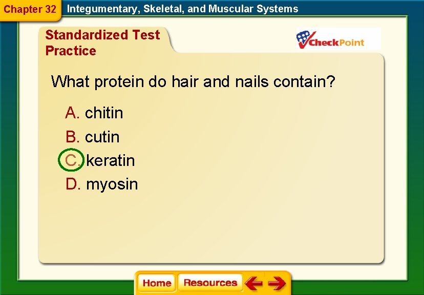 Chapter 32 Integumentary, Skeletal, and Muscular Systems Standardized Test Practice What protein do hair