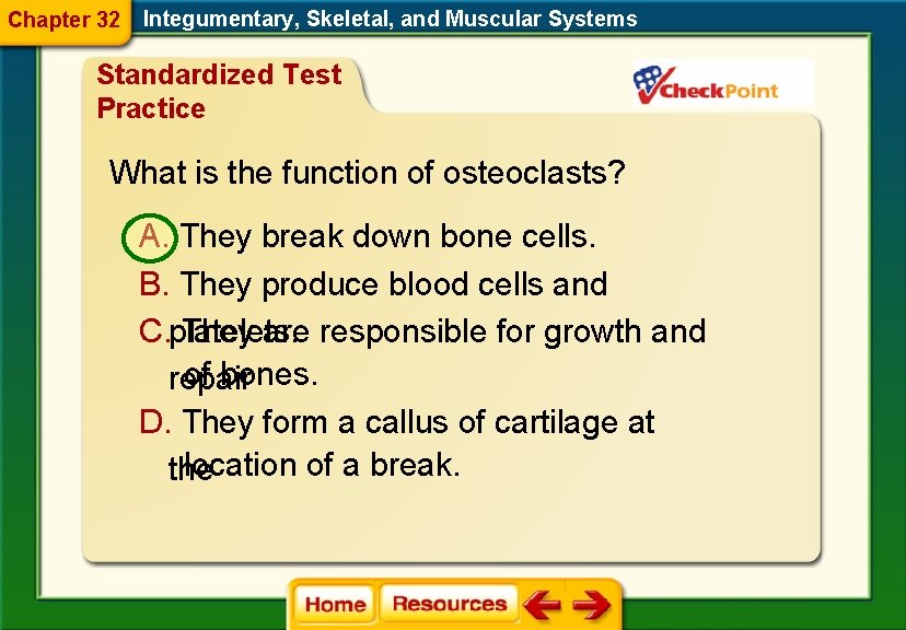 Chapter 32 Integumentary, Skeletal, and Muscular Systems Standardized Test Practice What is the function