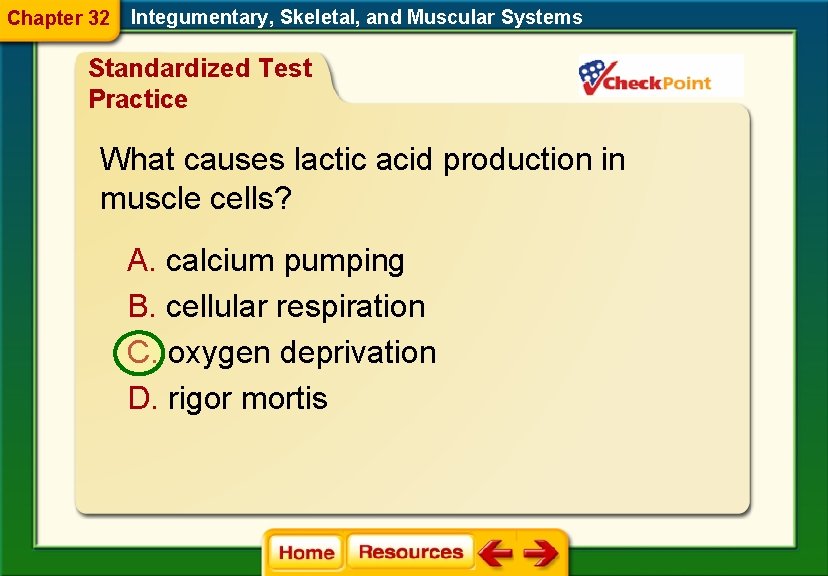 Chapter 32 Integumentary, Skeletal, and Muscular Systems Standardized Test Practice What causes lactic acid