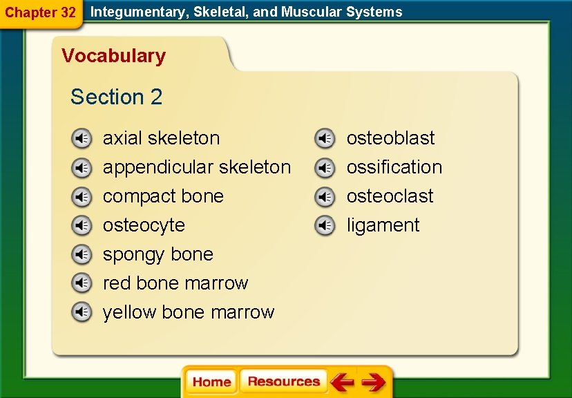Chapter 32 Integumentary, Skeletal, and Muscular Systems Vocabulary Section 2 axial skeleton osteoblast appendicular