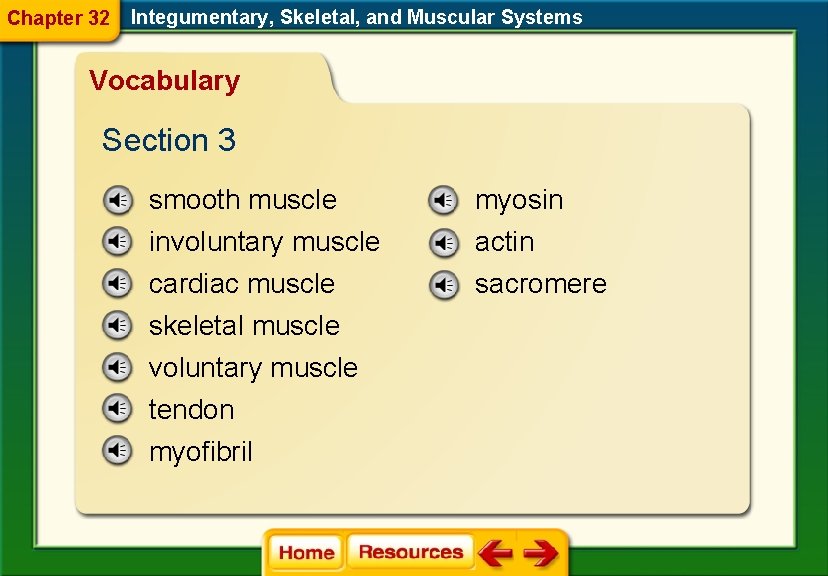 Chapter 32 Integumentary, Skeletal, and Muscular Systems Vocabulary Section 3 smooth muscle myosin involuntary