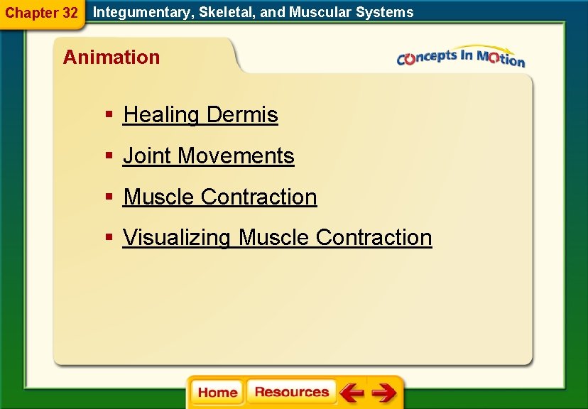 Chapter 32 Integumentary, Skeletal, and Muscular Systems Animation § Healing Dermis § Joint Movements