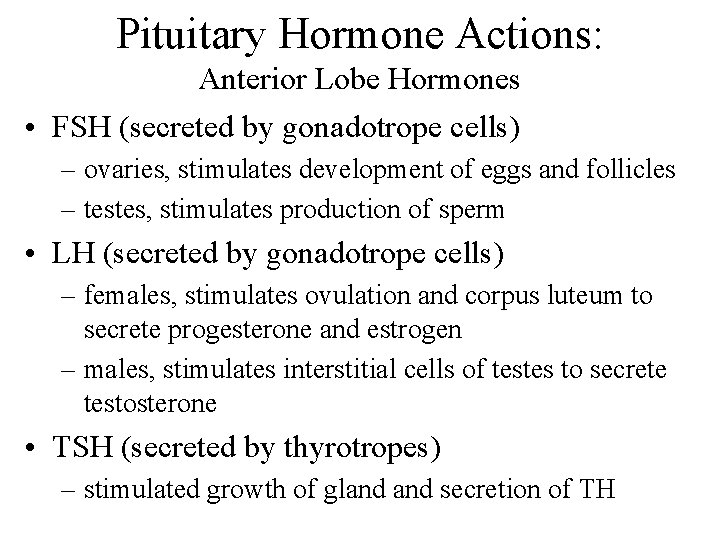 Pituitary Hormone Actions: Anterior Lobe Hormones • FSH (secreted by gonadotrope cells) – ovaries,