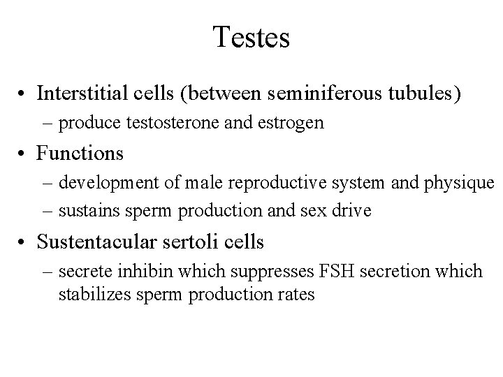 Testes • Interstitial cells (between seminiferous tubules) – produce testosterone and estrogen • Functions