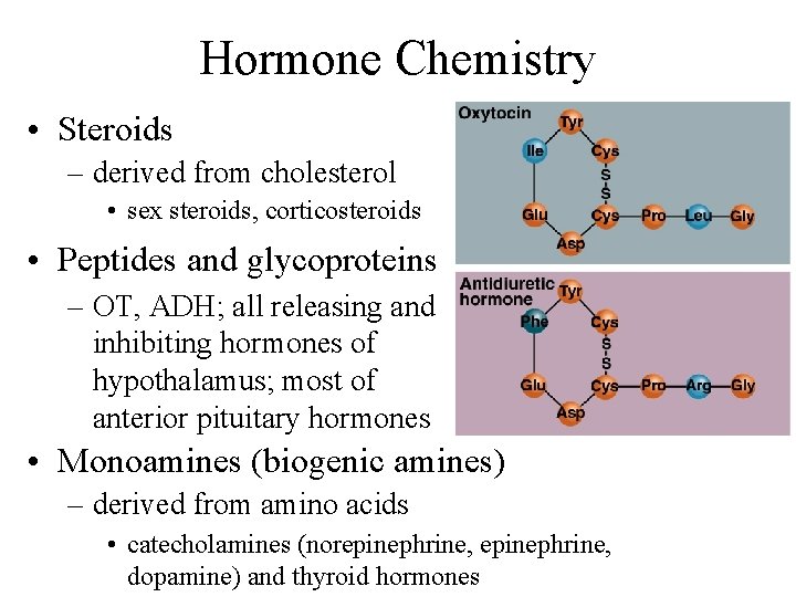 Hormone Chemistry • Steroids – derived from cholesterol • sex steroids, corticosteroids • Peptides
