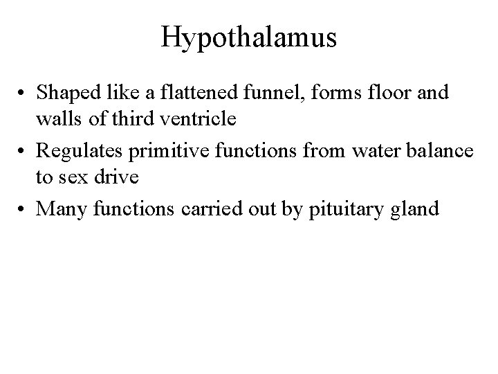 Hypothalamus • Shaped like a flattened funnel, forms floor and walls of third ventricle