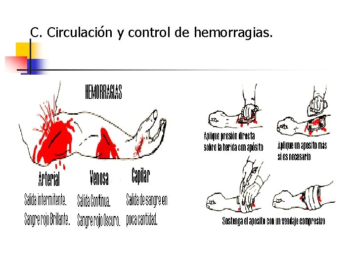 C. Circulación y control de hemorragias. 