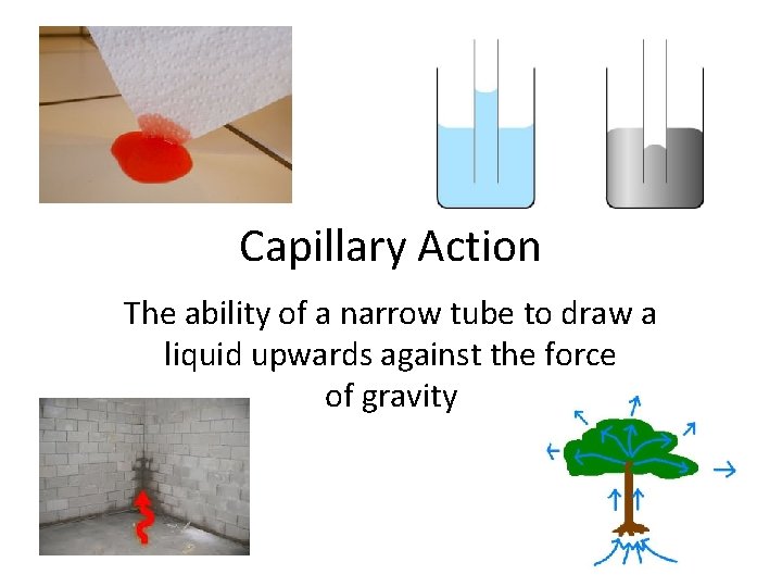 Capillary Action The ability of a narrow tube to draw a liquid upwards against