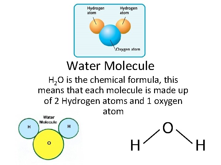 Water Molecule H 2 O is the chemical formula, this means that each molecule