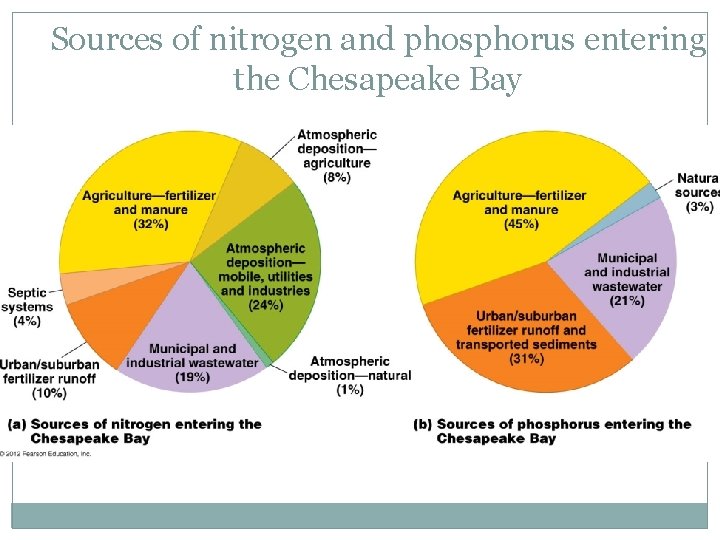 Sources of nitrogen and phosphorus entering the Chesapeake Bay 