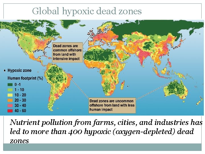 Global hypoxic dead zones Nutrient pollution from farms, cities, and industries has led to Global hypoxic dead zones Nutrient pollution from farms, cities, and industries has led to