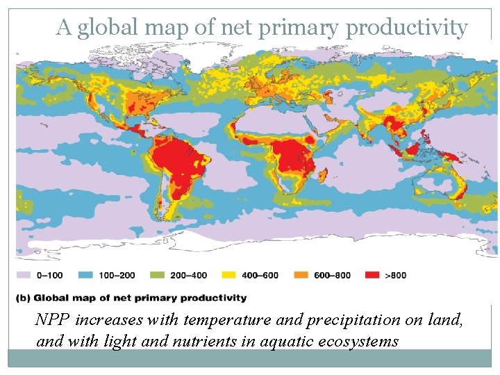 A global map of net primary productivity NPP increases with temperature and precipitation on