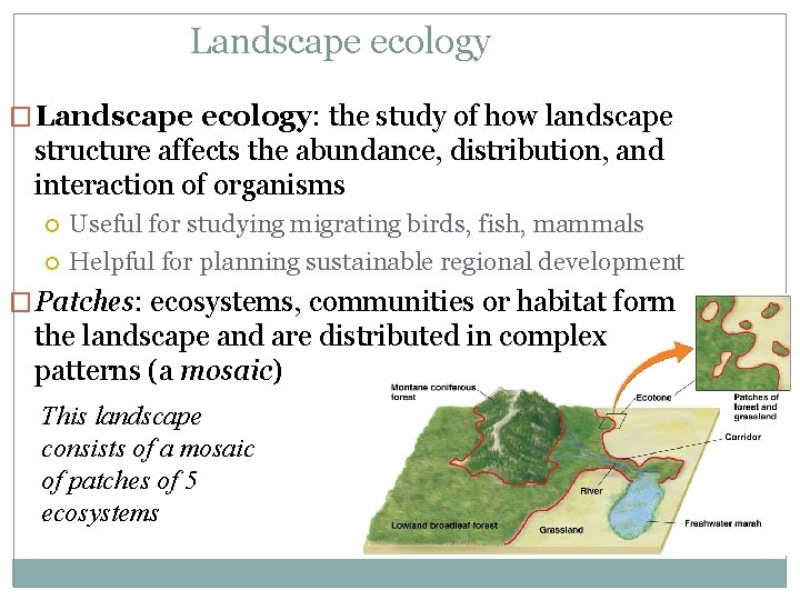 Landscape ecology � Landscape ecology: the study of how landscape structure affects the abundance,