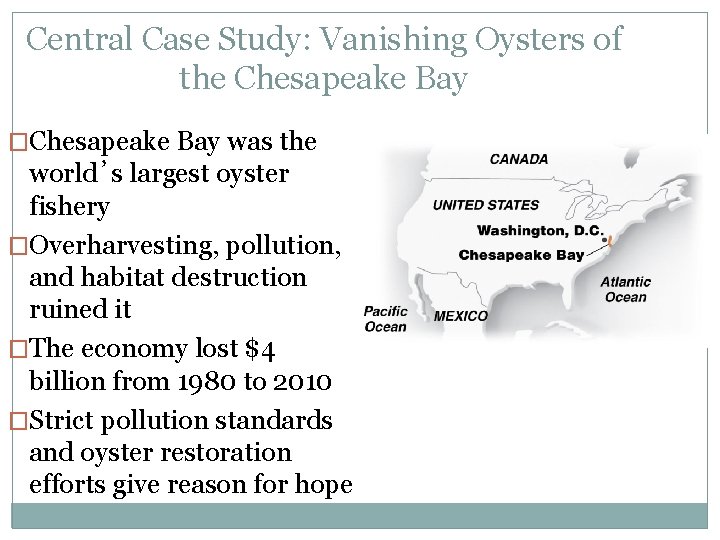 Central Case Study: Vanishing Oysters of the Chesapeake Bay �Chesapeake Bay was the world’s Central Case Study: Vanishing Oysters of the Chesapeake Bay �Chesapeake Bay was the world’s