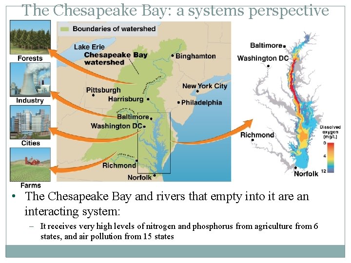 The Chesapeake Bay: a systems perspective • The Chesapeake Bay and rivers that empty