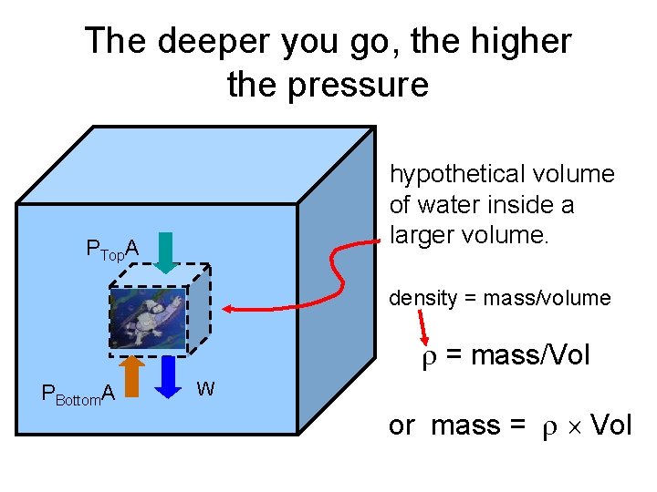 The deeper you go, the higher the pressure hypothetical volume of water inside a