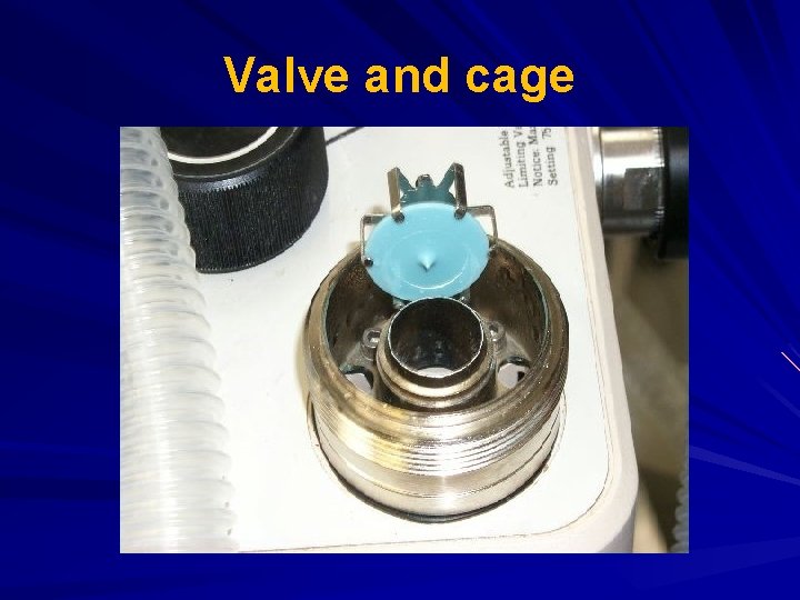 Valve and cage 