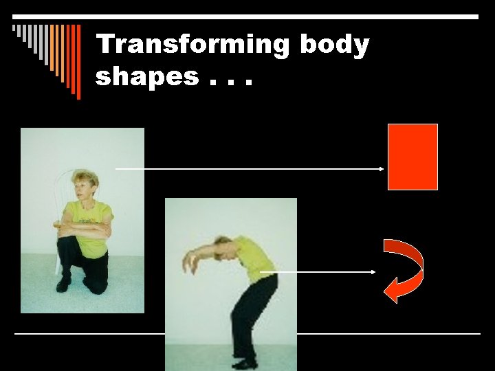 Transforming body shapes. . . 