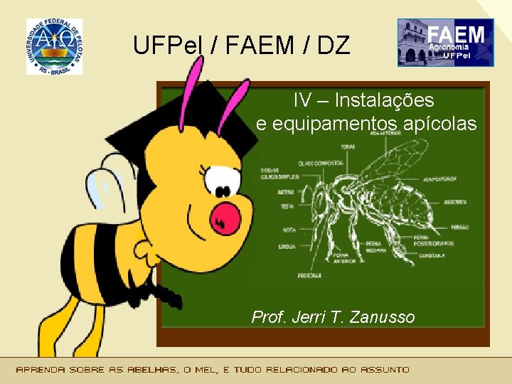 UFPel / FAEM / DZ IV – Instalações e equipamentos apícolas Prof. Jerri T.