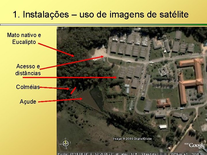 1. Instalações – uso de imagens de satélite Mato nativo e Eucalipto Acesso e