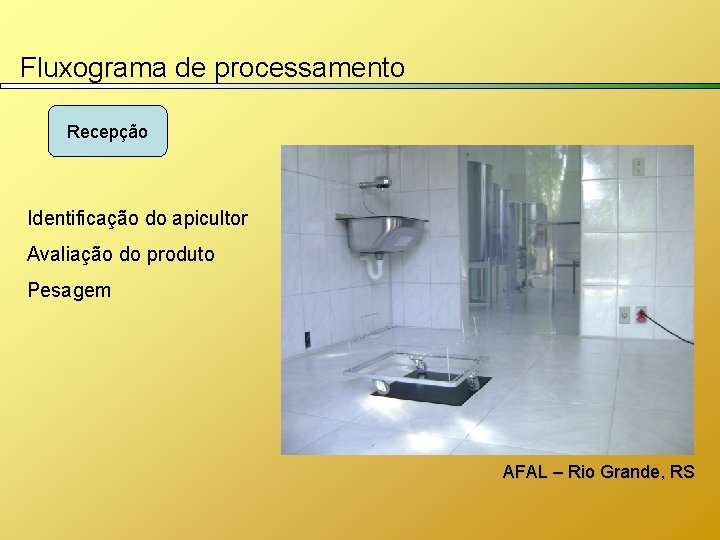 Fluxograma de processamento Recepção Identificação do apicultor Avaliação do produto Pesagem AFAL – Rio