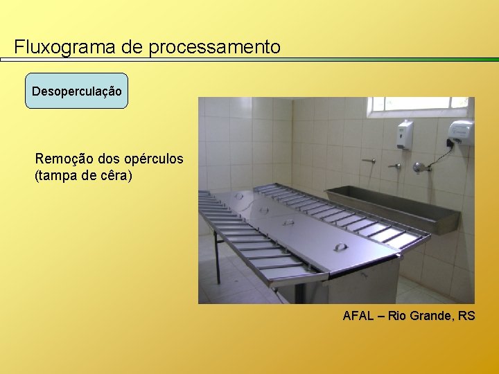 Fluxograma de processamento Desoperculação Remoção dos opérculos (tampa de cêra) AFAL – Rio Grande,