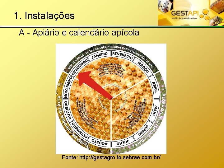 1. Instalações A - Apiário e calendário apícola Fonte: http: //gestagro. to. sebrae. com.