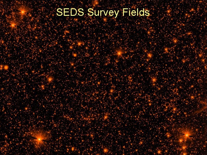 SEDS Survey Fields 