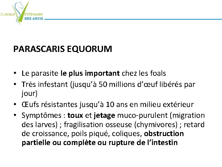 PARASCARIS EQUORUM • Le parasite le plus important chez les foals • Très infestant